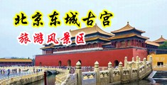 呦女wwwww网址妓女中国北京-东城古宫旅游风景区