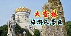 狂插逼逼视频网站中国浙江-绍兴大香林旅游风景区